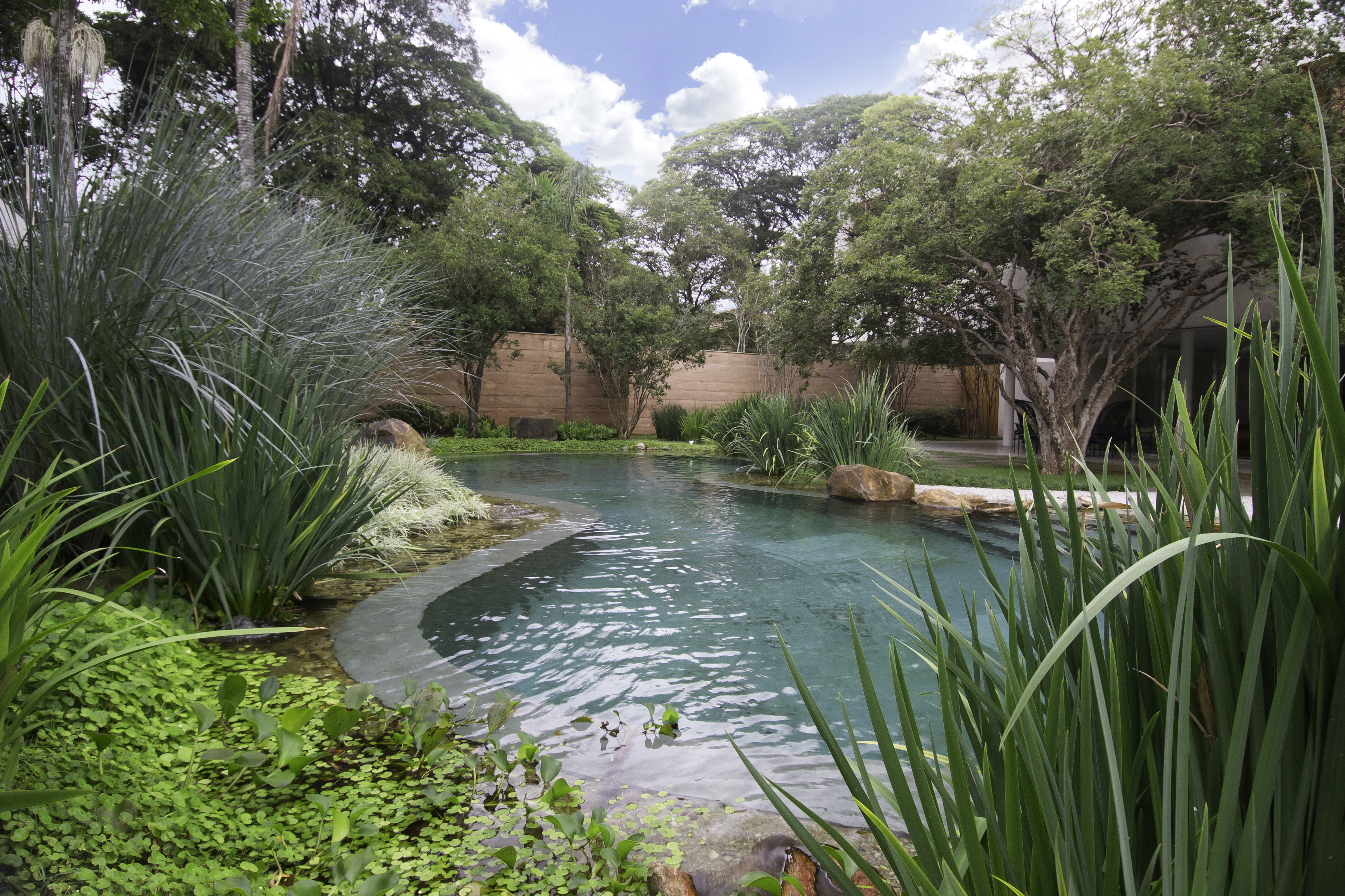 Commercial Attractions